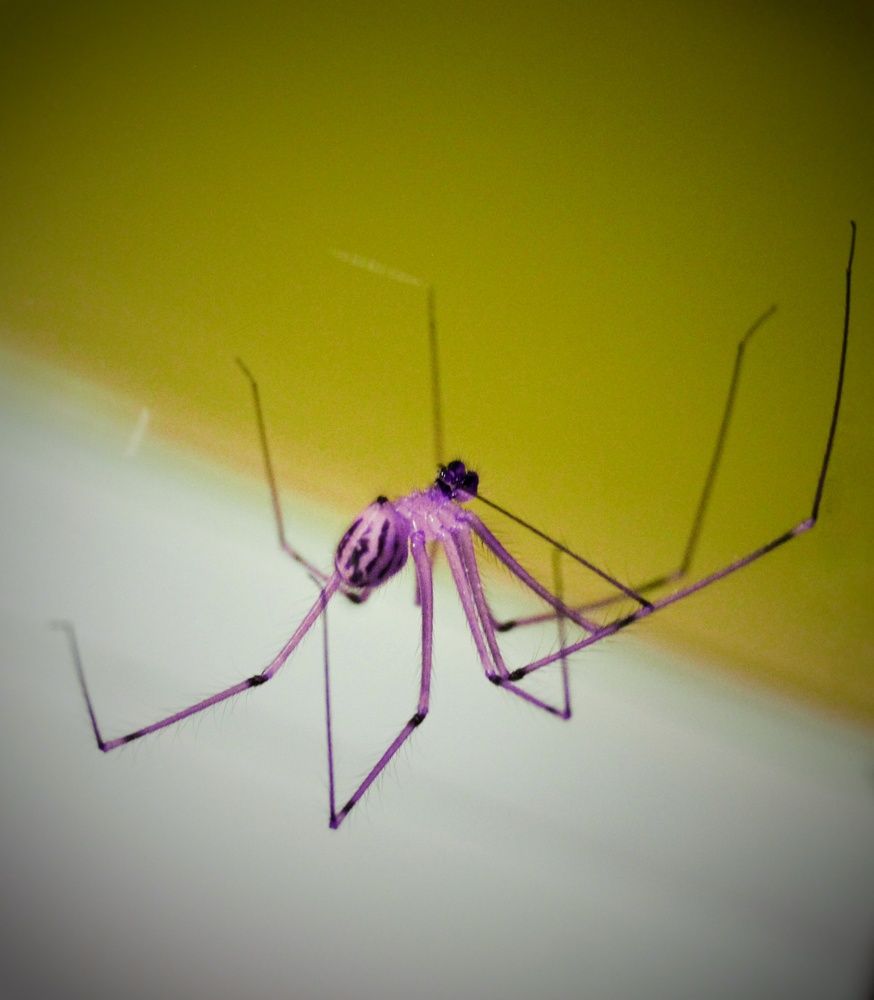 Photograph by anahita peymani