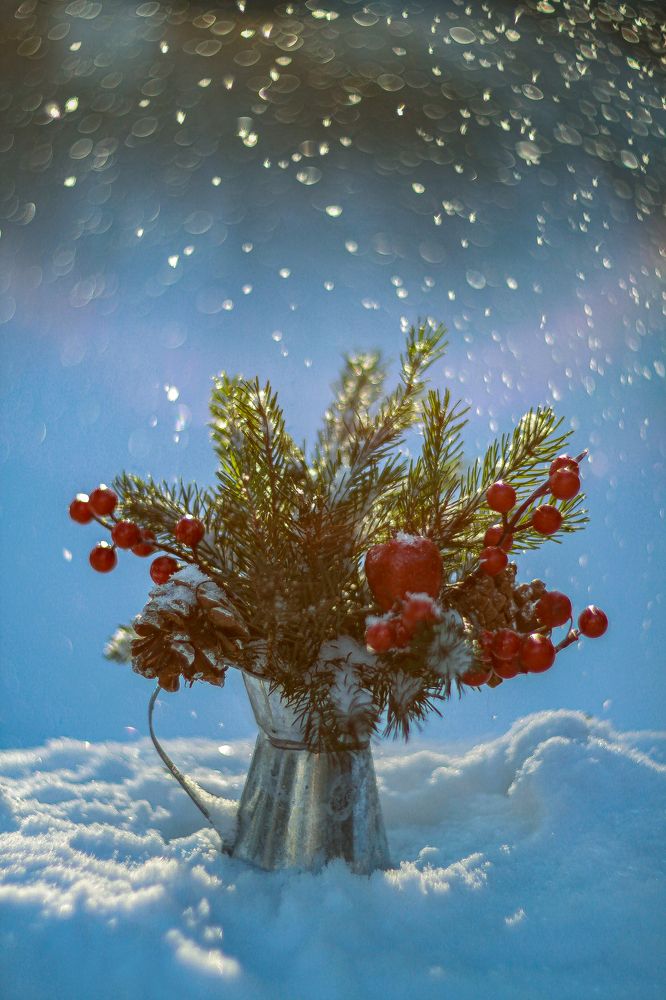 Photograph by Ольга Резникова