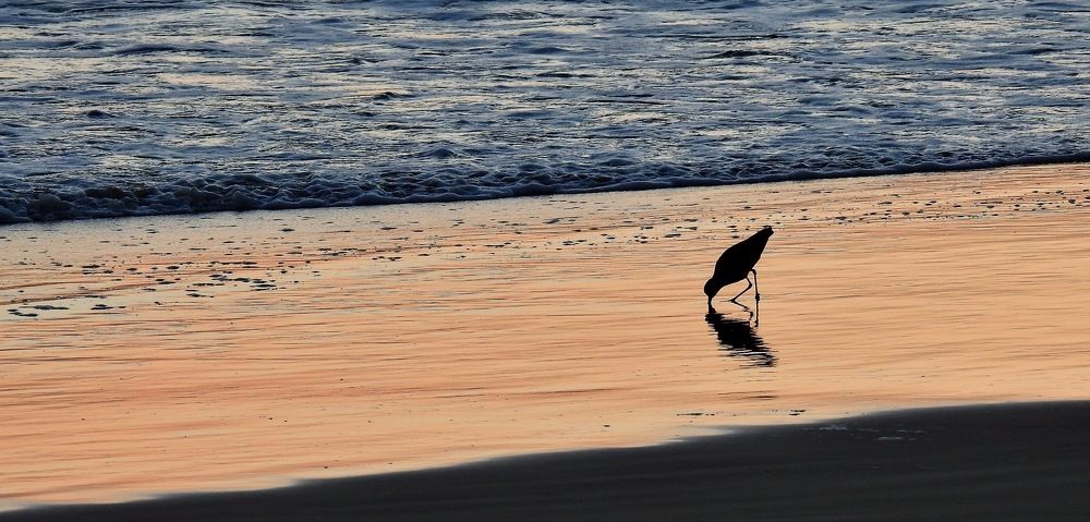 Photograph by Jaime Baião
