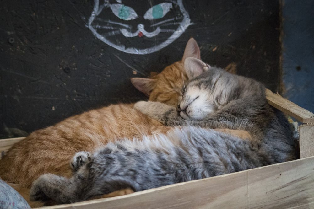 Photograph by Марина Куценко