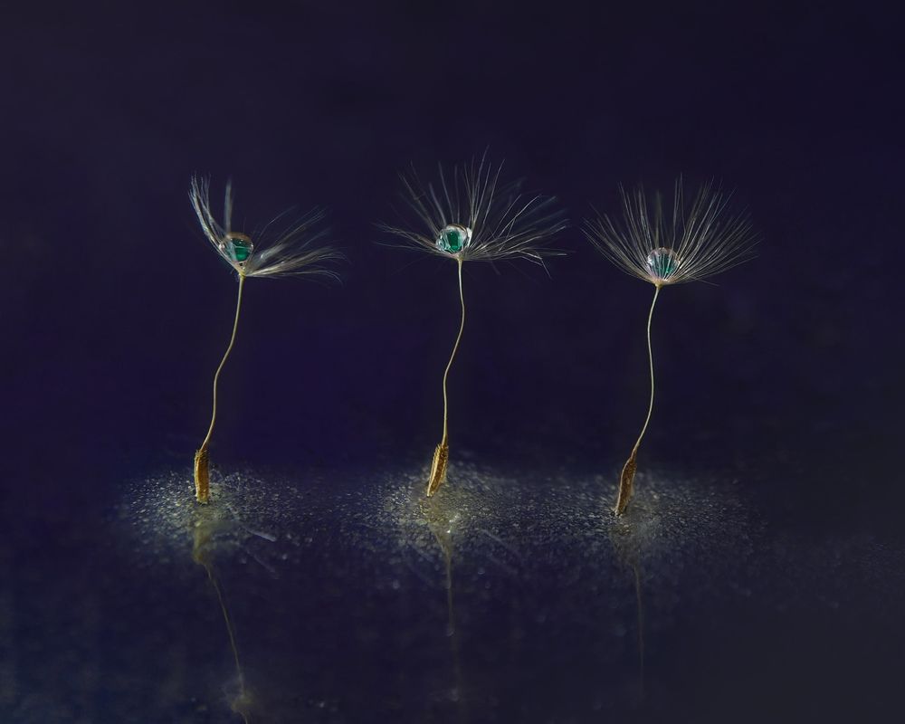 Photograph by Елена Бохолдина