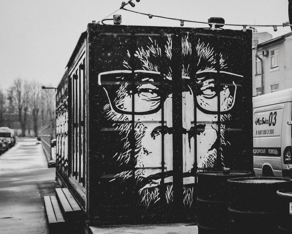 Photograph by Денис Копкин