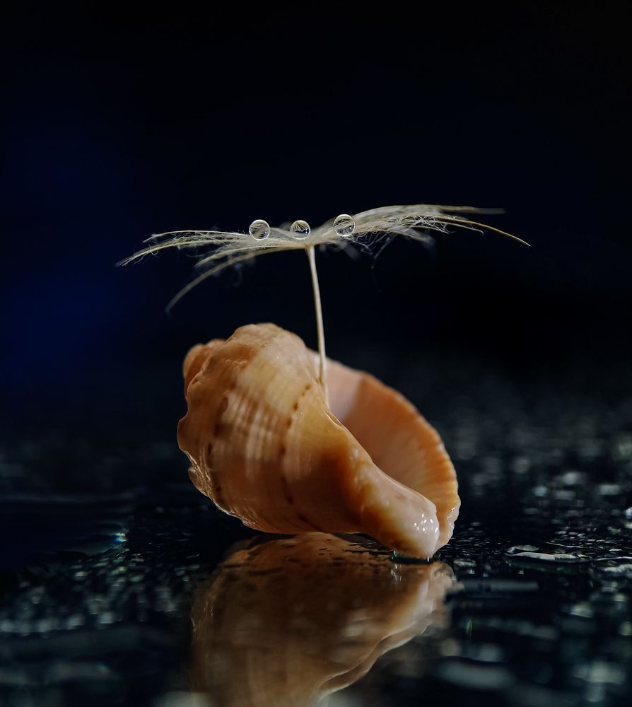 Photograph by Елена Бохолдина