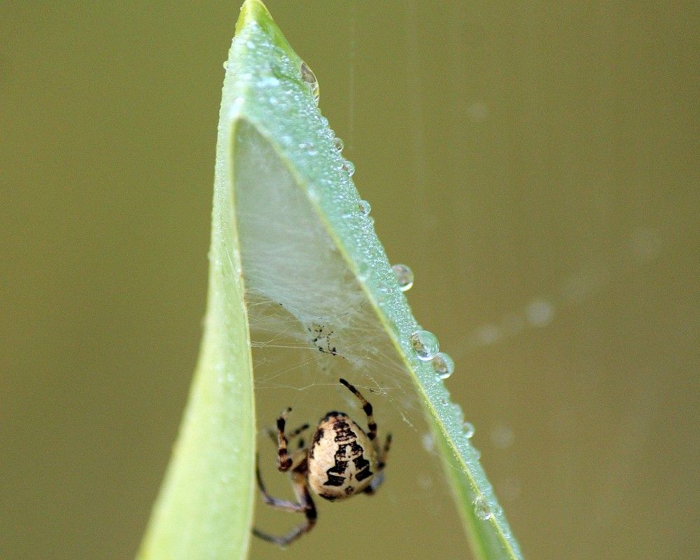 Photograph by Андрей Казанкин
