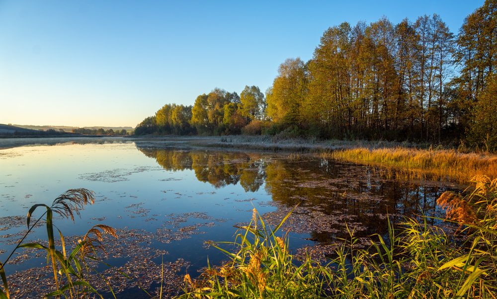 Фотография автора Александр Дюльгер