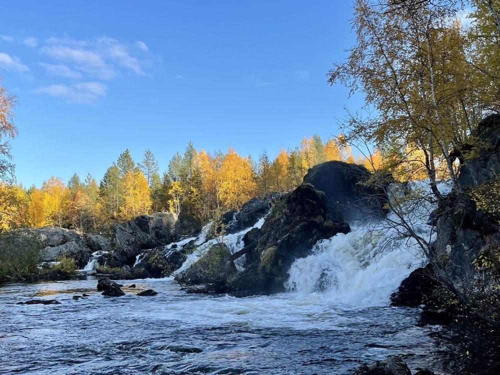 Фотография автора Юлия Шумейко