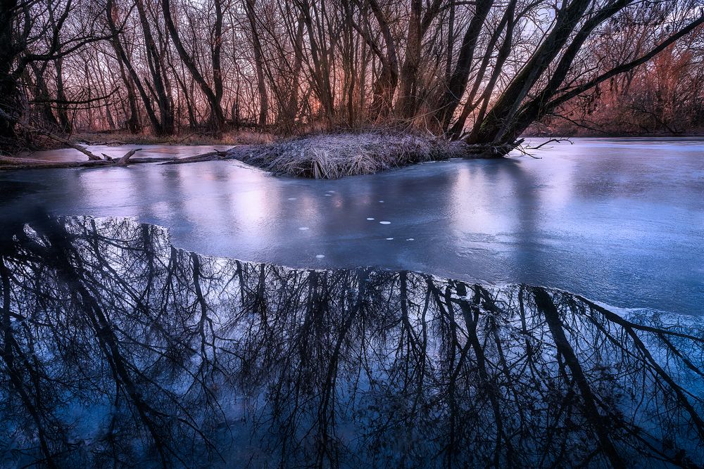 Winter in lowlands II