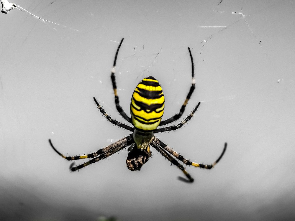 Photograph by Nikos Karatolos