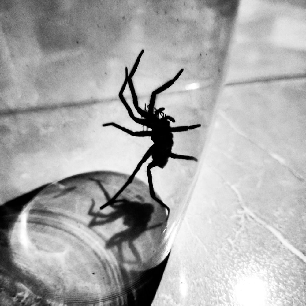 Photograph by Nikos Karatolos