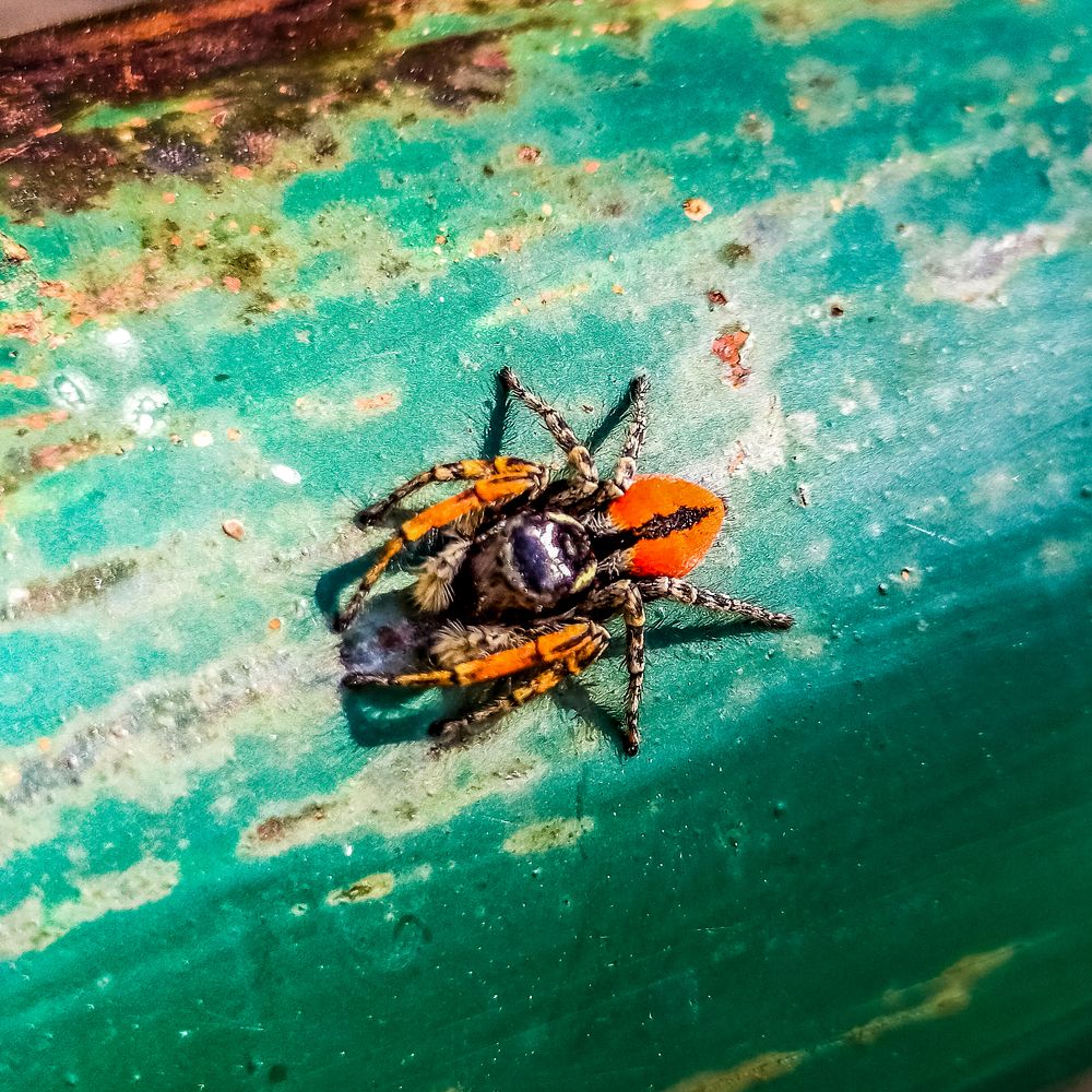 Photograph by Nikos Karatolos