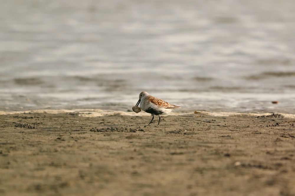 Photograph by Se Lena