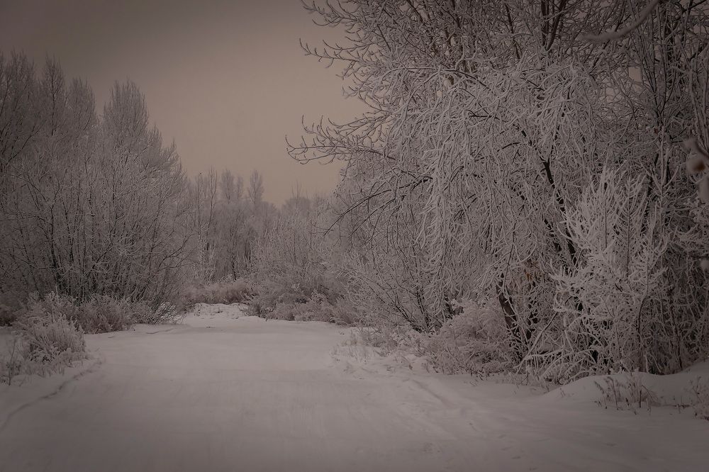 Photograph by Оксана Батракова