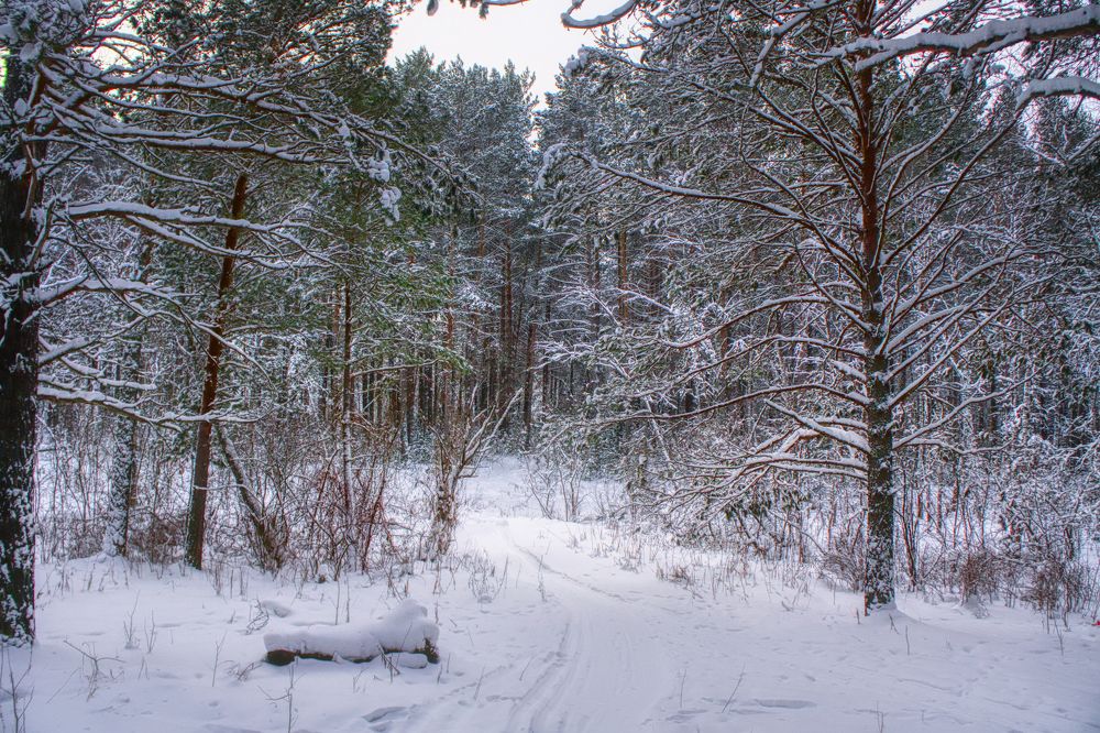Photograph by Александр Пургин