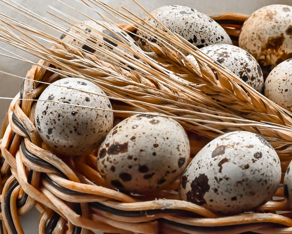 Photograph by Наталья Ефимова