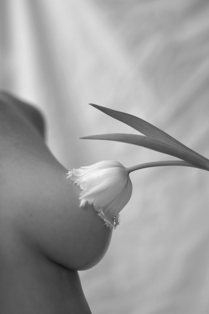 Photograph by Sigrid Cirjan