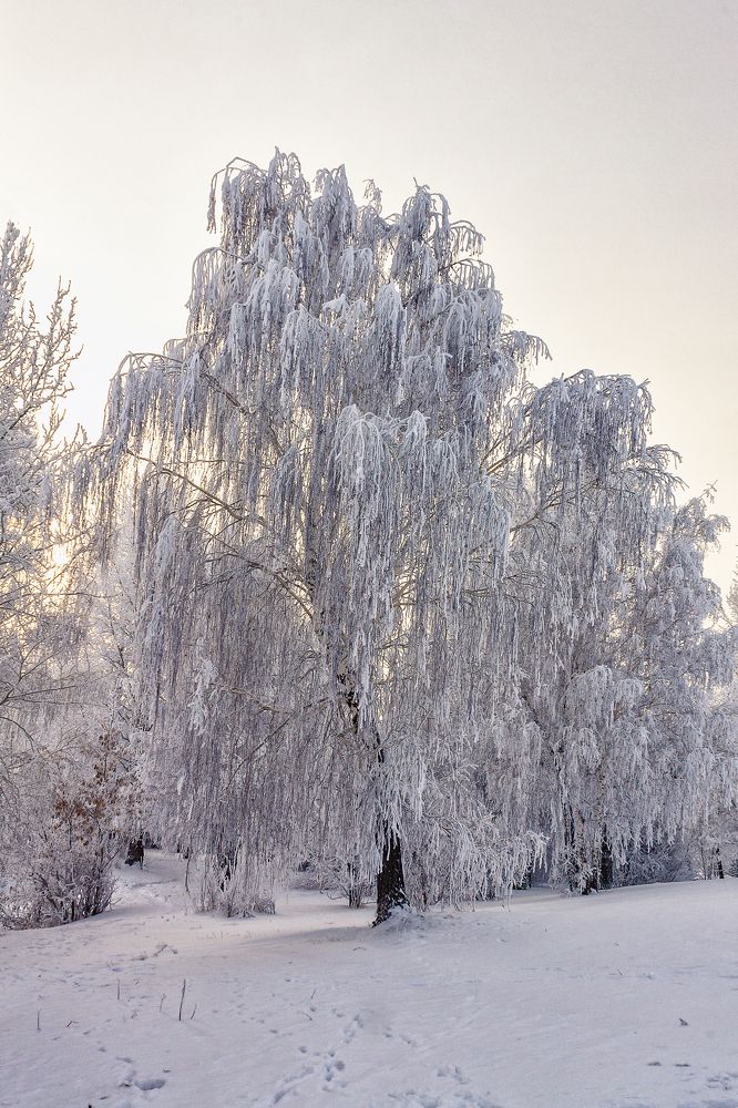 Photograph by Ильдар Гарифуллин