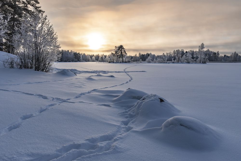 Photograph by Максим Сорокин