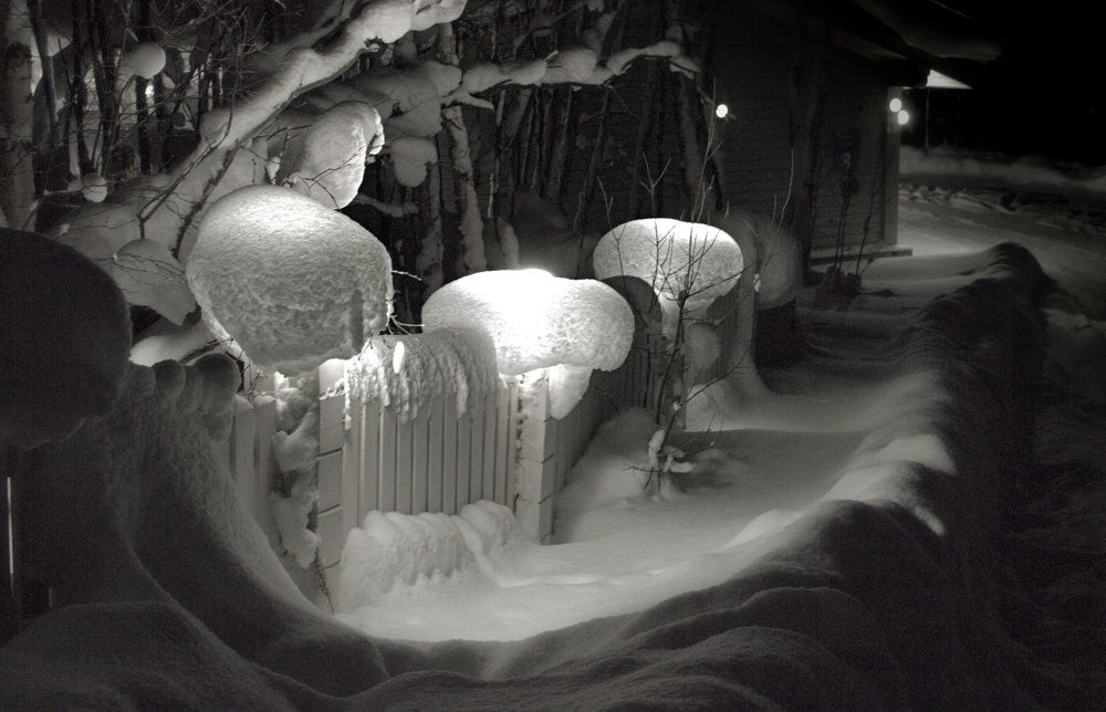 Photograph by Татьяна Мельникова