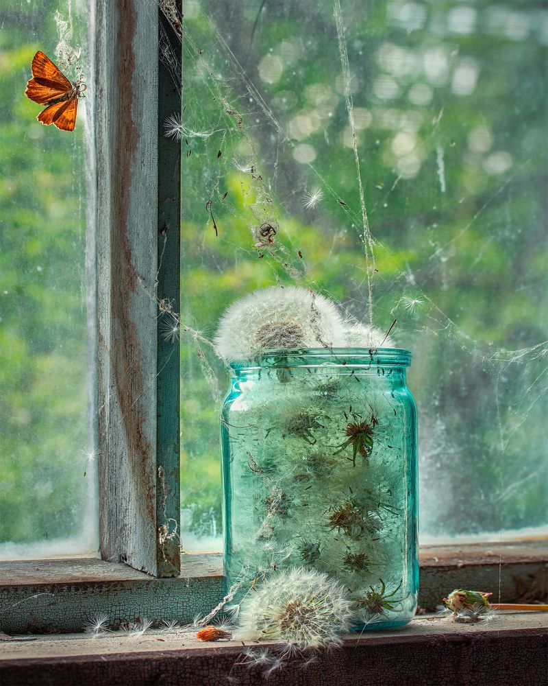 Фотография автора Анна Олещук