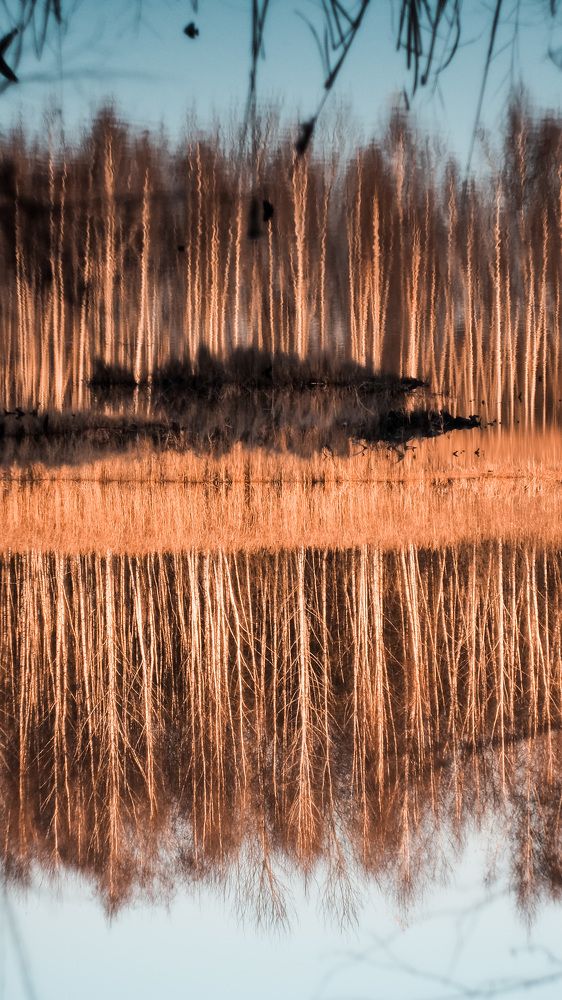 Photograph by Никита Ермаков