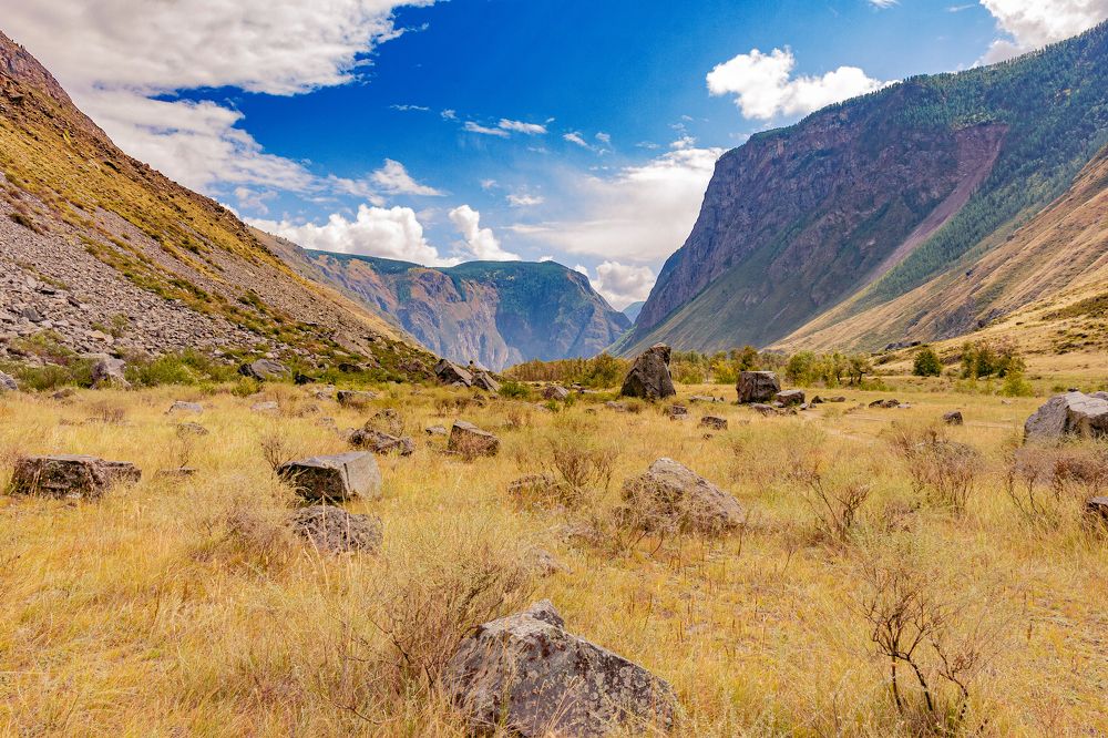 Photograph by Игорь Радионов