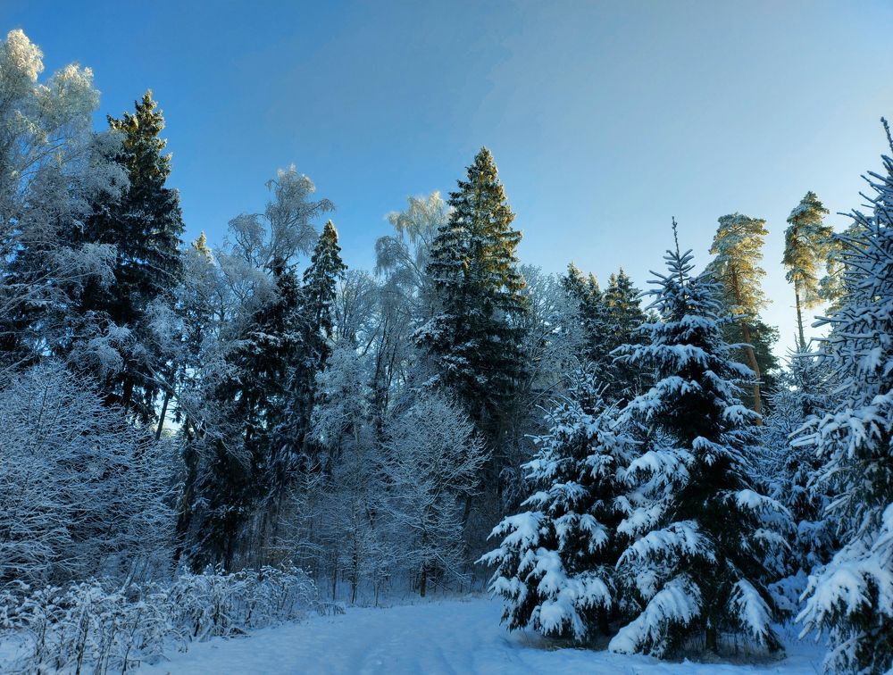 Тульская зима