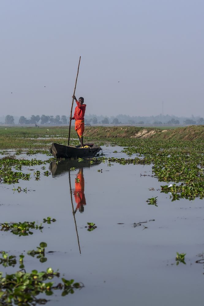 Photograph by SADAT HASAN SK