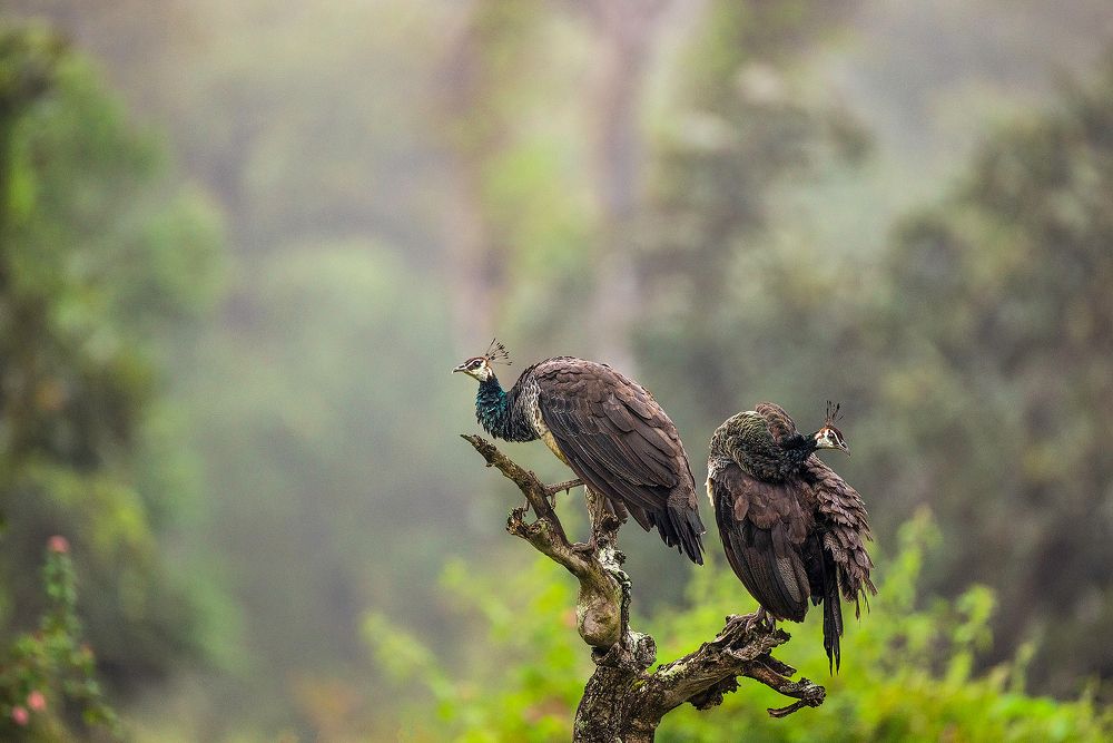 When you are not in talking terms