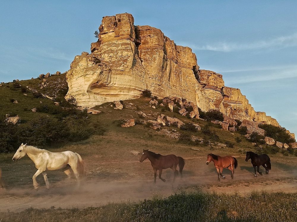 Photograph by Сергей Жигульский