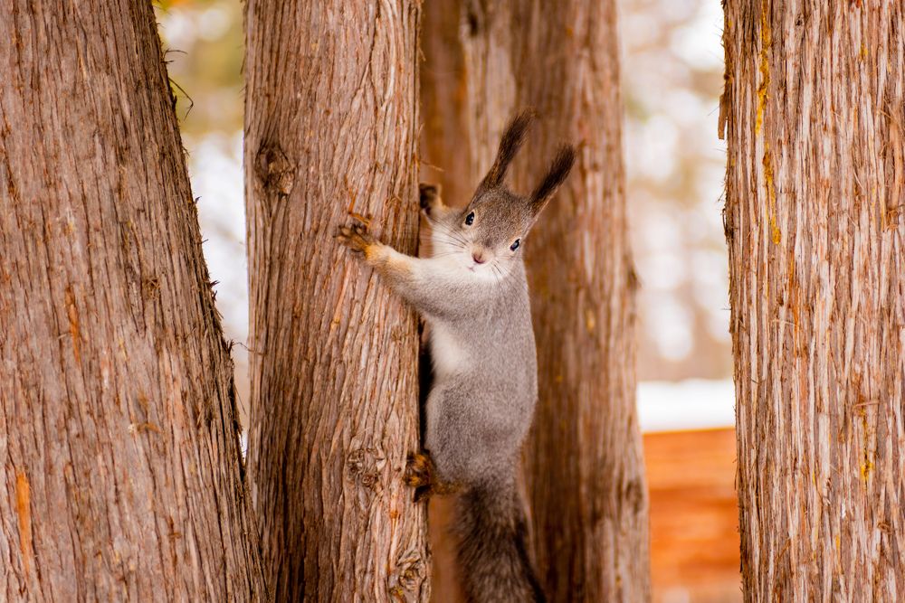 Photograph by Евгений
