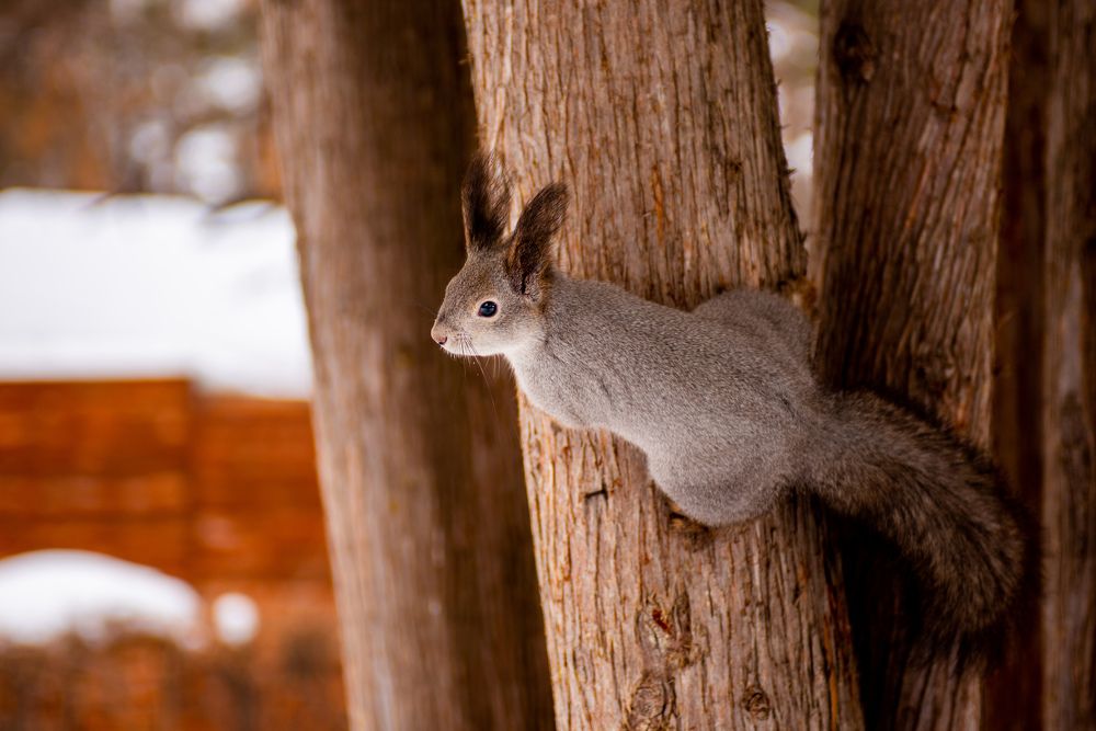 Photograph by Евгений