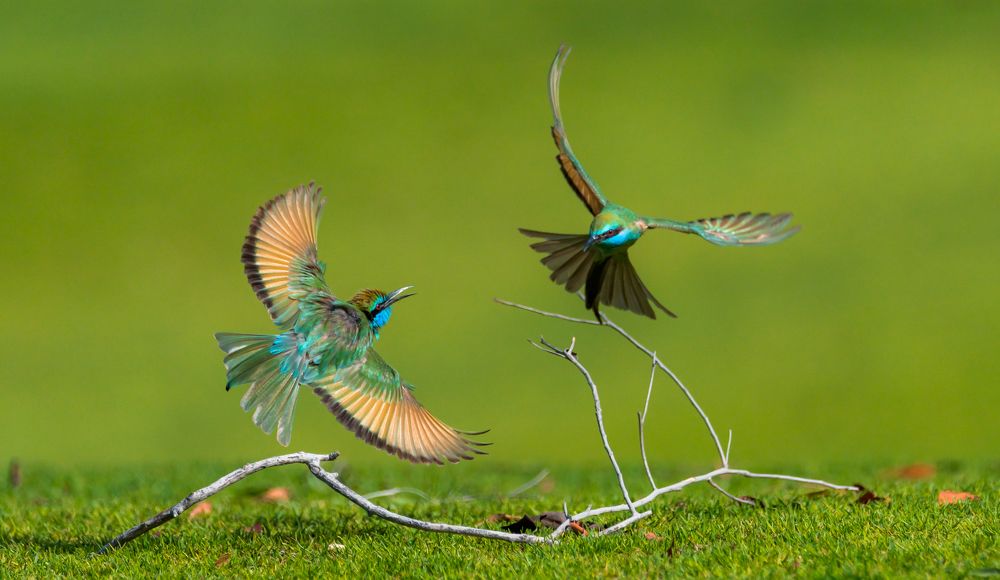Фотография автора Hari Govindarajulu