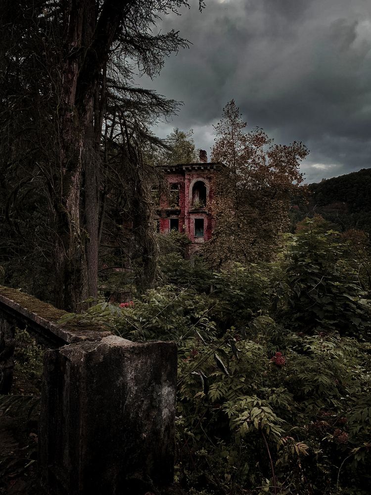 Photograph by Елена Бохолдина