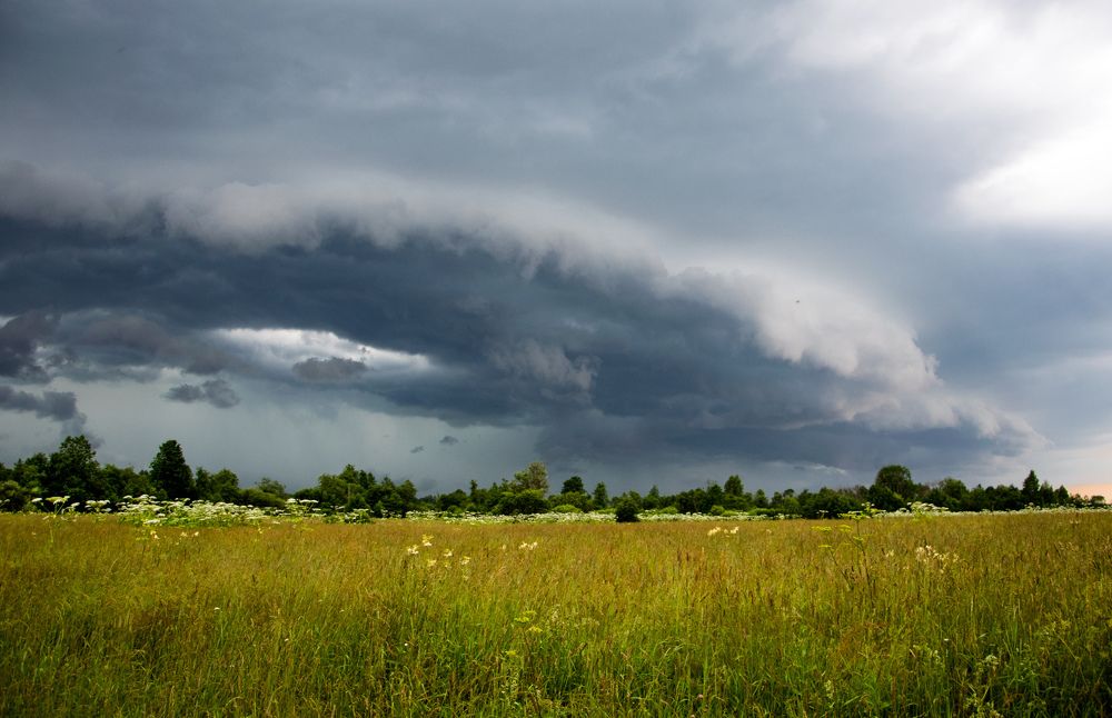 За пять минут до грозы