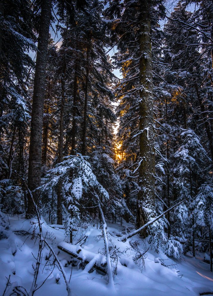 Photograph by Владимир Ганюшкин