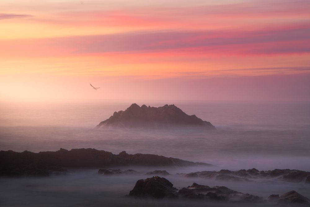 Photograph by Sergio Diaz