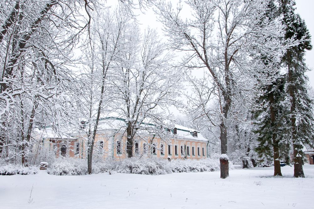 Заснеженный парк