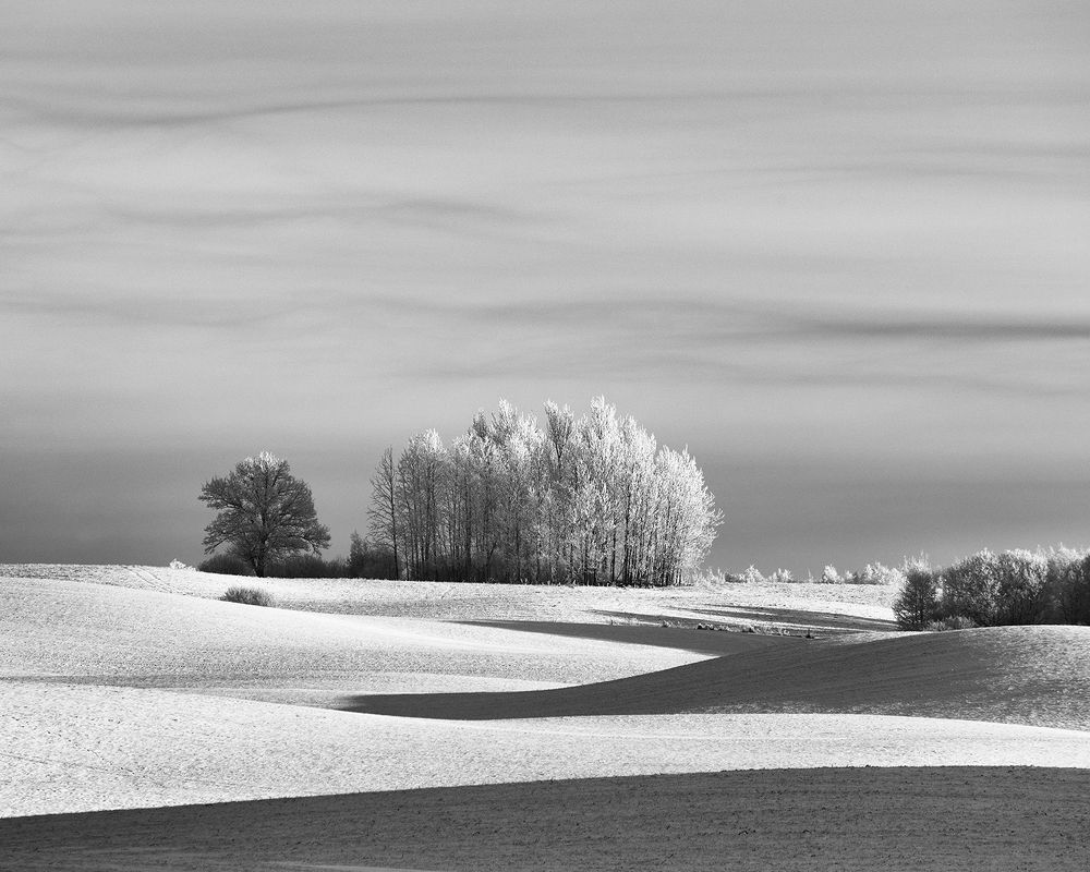 Photograph by Ivars Skudra