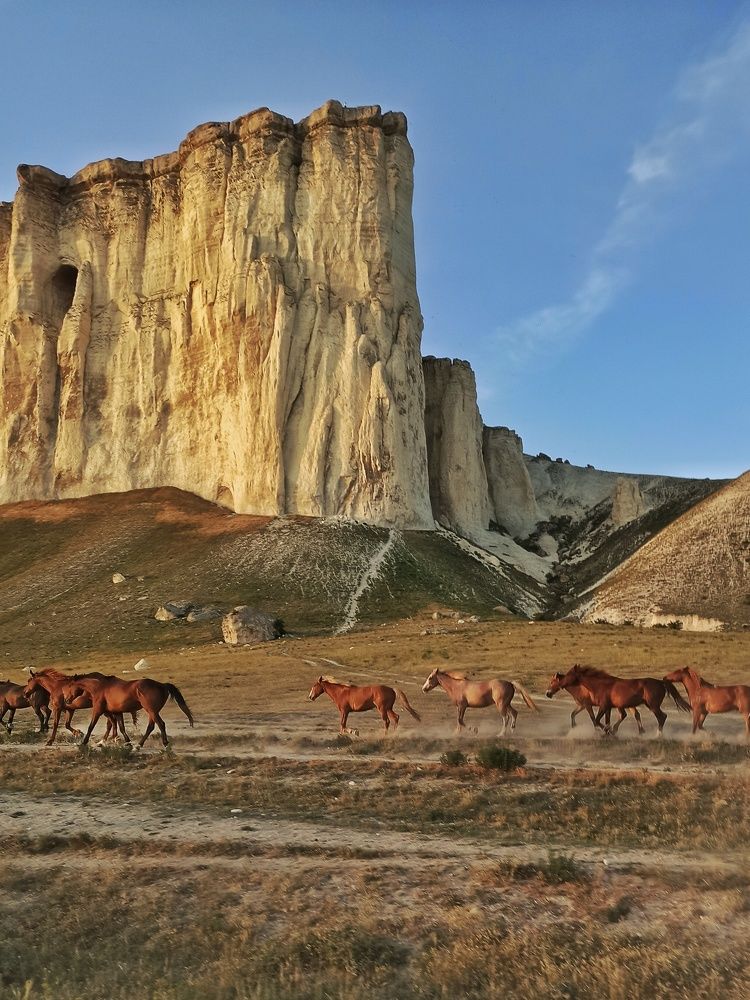Photograph by Сергей Жигульский