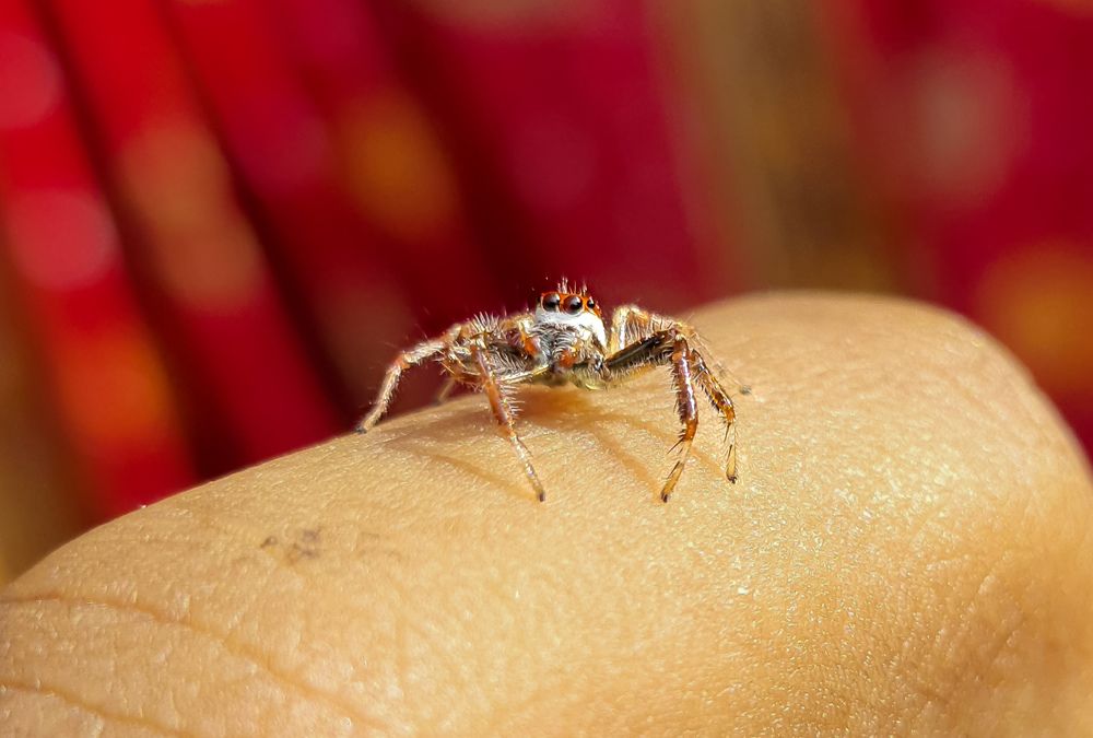 Photograph by Tanmay Karmakar