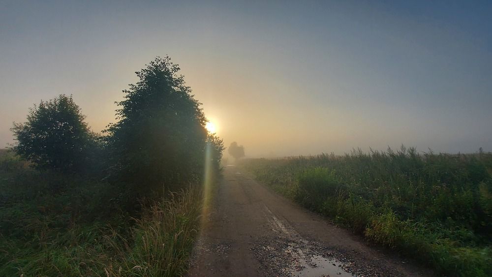 Туманое утро.