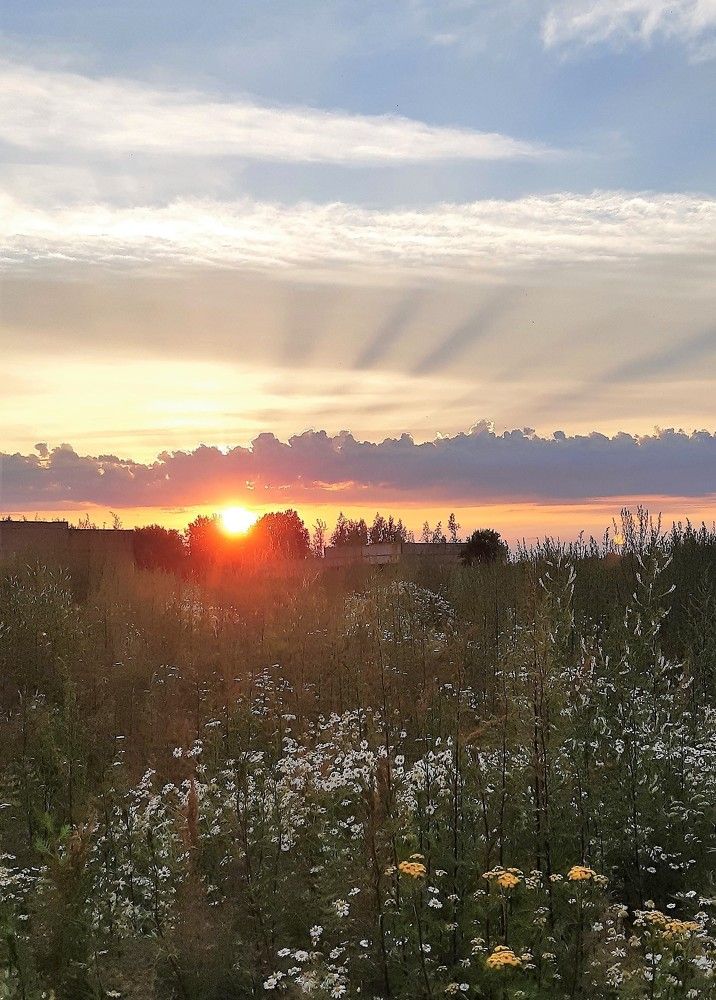 Фотография автора Ирина Лукьянчик