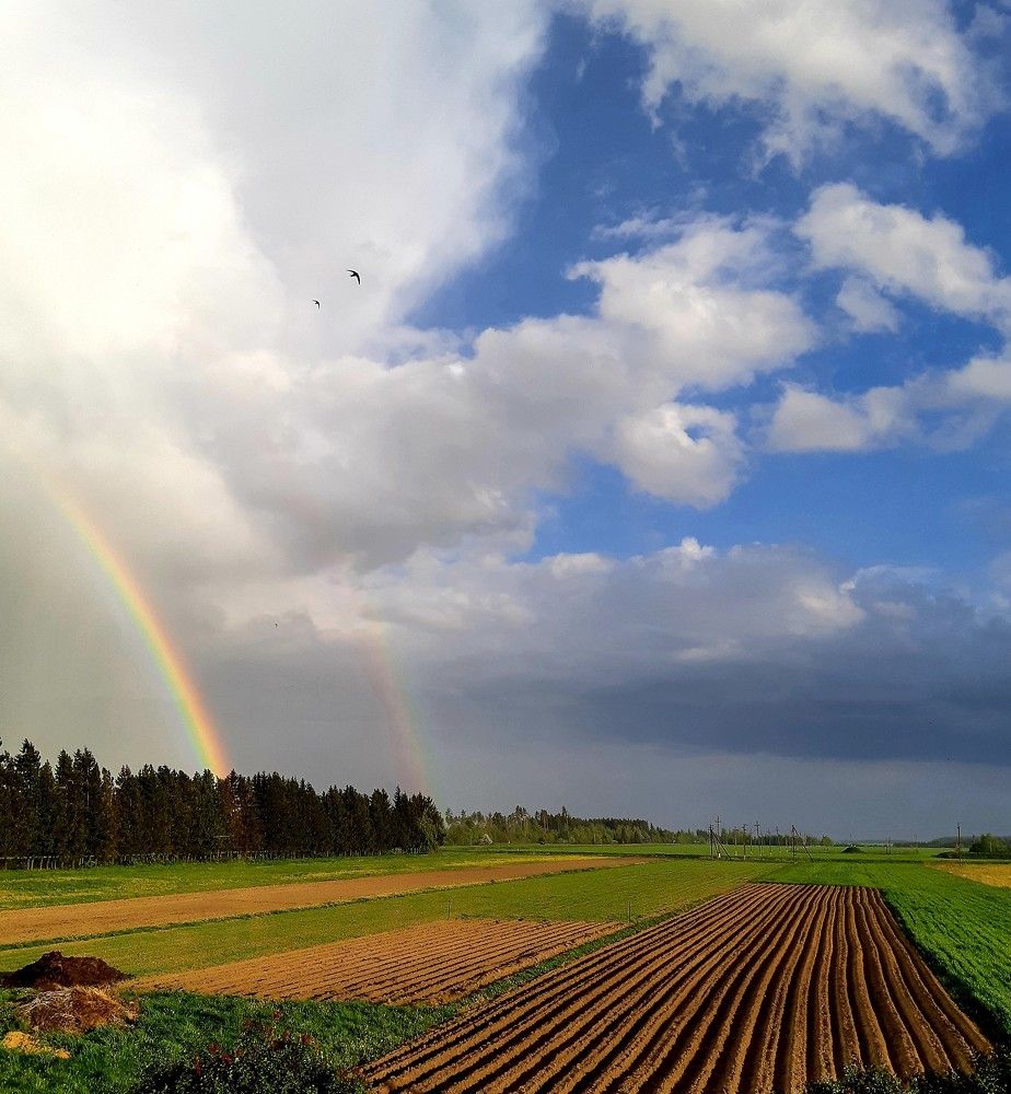 Фотография автора Ирина Лукьянчик