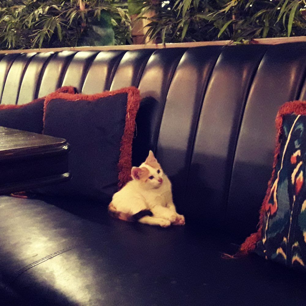 Photograph by Sedef Onum