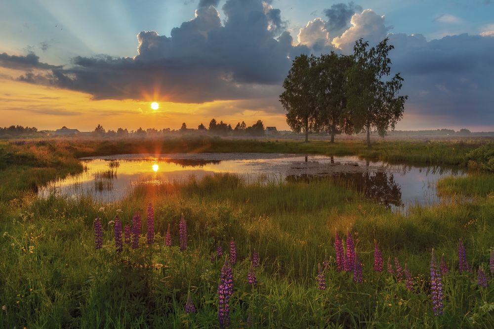 Фотография автора Евгений Ерохин