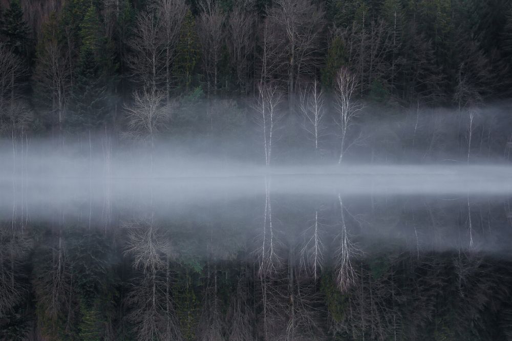 Reflected in the haze