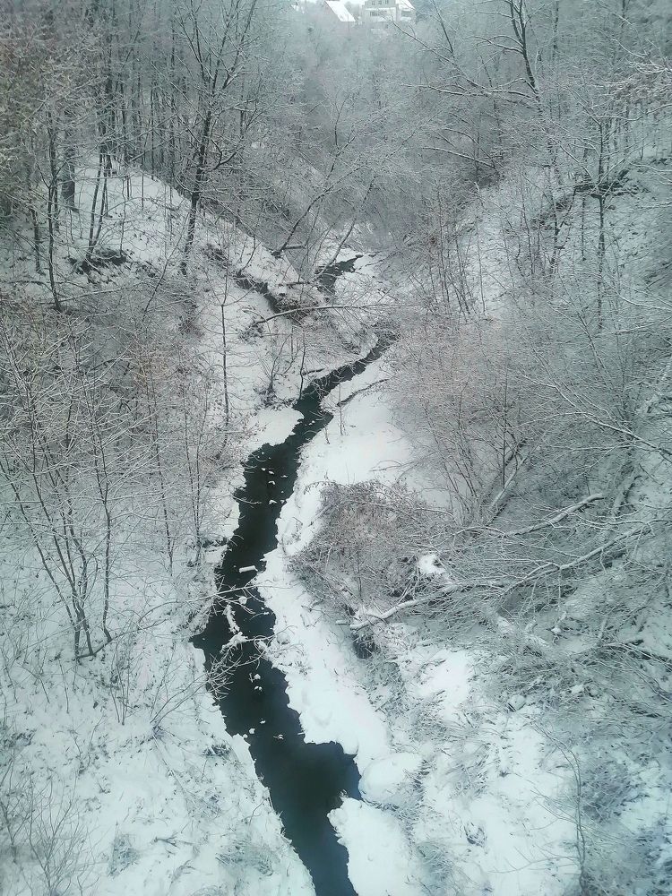 Photograph by Елена Лепешкина