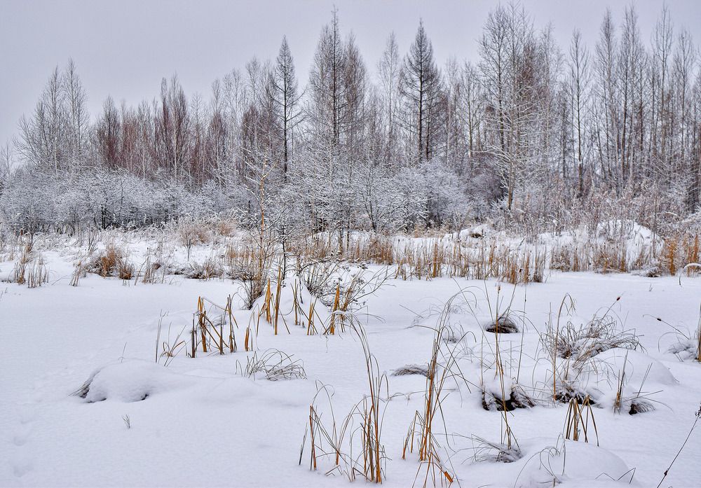 Photograph by Ольга Блохина