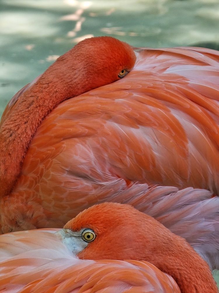 Photograph by Павел Токарев