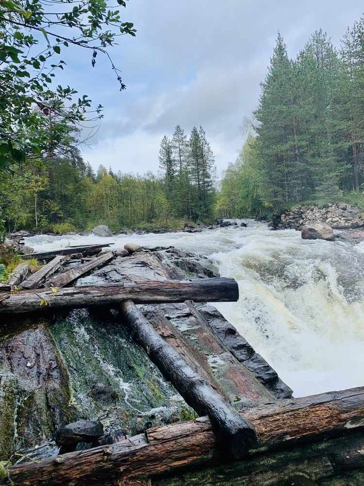 Photograph by Казимирова Юлия